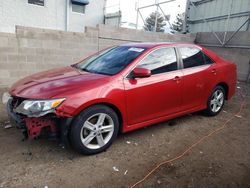 Salvage cars for sale at Albuquerque, NM auction: 2013 Toyota Camry L