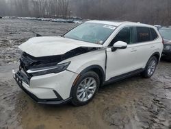 Salvage cars for sale at Marlboro, NY auction: 2024 Honda CR-V EXL