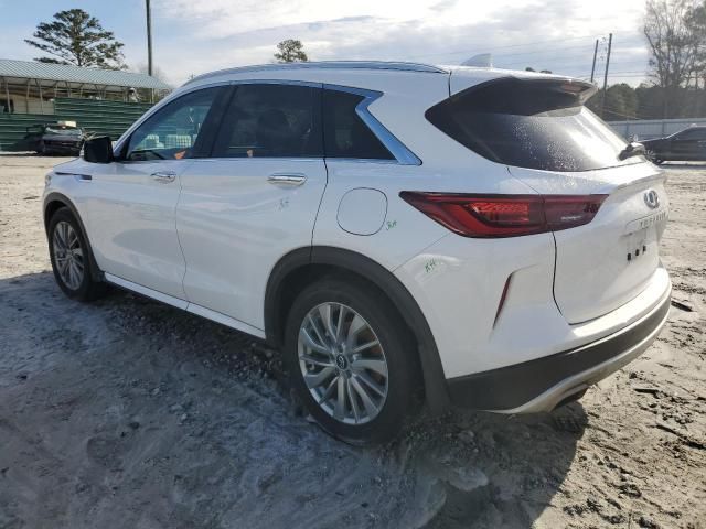 2023 Infiniti QX50 Luxe