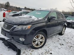 Salvage cars for sale at Candia, NH auction: 2010 Lexus RX 450