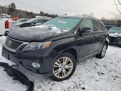 Lexus salvage cars for sale: 2010 Lexus RX 450