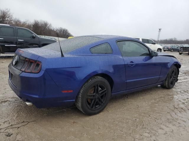 2013 Ford Mustang