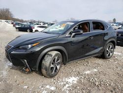 Flood-damaged cars for sale at auction: 2019 Lexus NX 300 Base