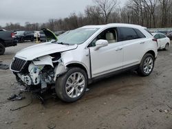 Salvage cars for sale from Copart Ellwood City, PA: 2020 Cadillac XT5 Premium Luxury