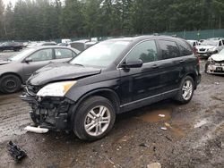 Salvage cars for sale from Copart Graham, WA: 2010 Honda CR-V EXL