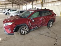 Salvage cars for sale from Copart Phoenix, AZ: 2019 Toyota Rav4 XLE