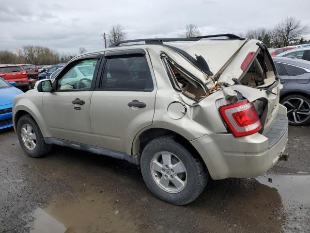 2012 Ford Escape XLT