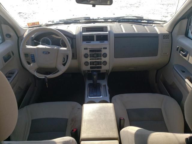 2008 Ford Escape XLT