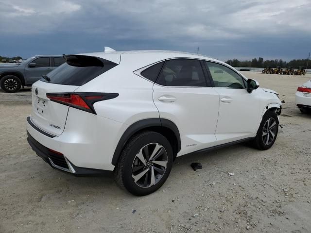 2020 Lexus NX 300H