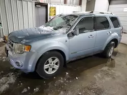 Salvage cars for sale at Chicago Heights, IL auction: 2008 Ford Escape HEV