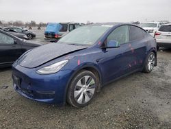 Tesla salvage cars for sale: 2021 Tesla Model Y