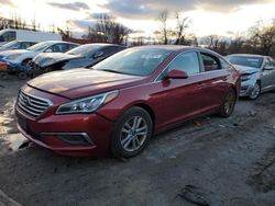 Hyundai Sonata SE Vehiculos salvage en venta: 2016 Hyundai Sonata SE