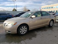 Toyota Camry Hybrid salvage cars for sale: 2008 Toyota Camry Hybrid