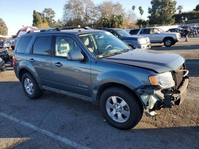 2010 Ford Escape Hybrid