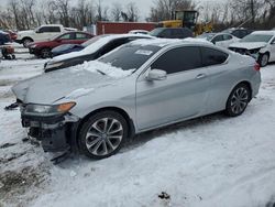 Honda Accord EXL salvage cars for sale: 2013 Honda Accord EXL