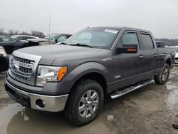 2013 Ford F150 Supercrew for sale in Cahokia Heights, IL