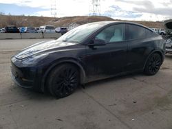 Salvage cars for sale at Littleton, CO auction: 2023 Tesla Model Y