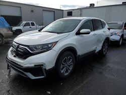 Honda CR-V EX salvage cars for sale: 2020 Honda CR-V EX