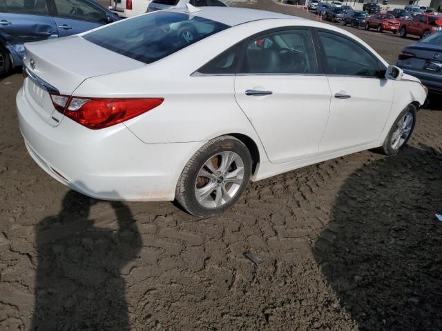 2011 Hyundai Sonata SE