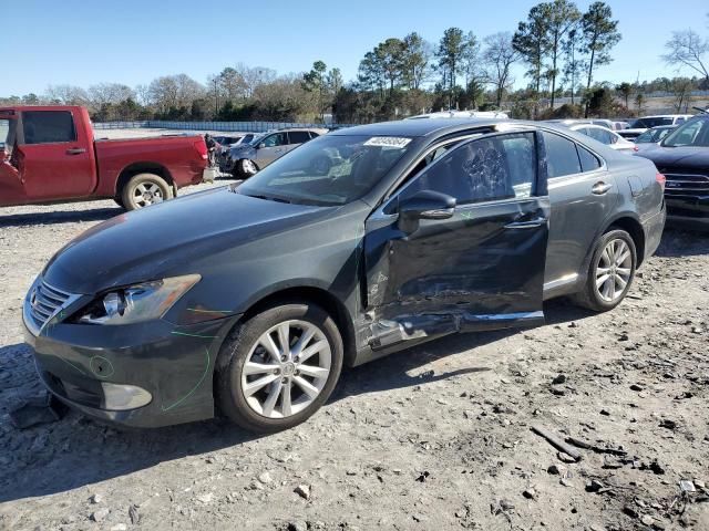 2010 Lexus ES 350