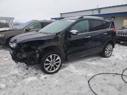 Salvage cars for sale at Wayland, MI auction: 2014 Ford Escape SE