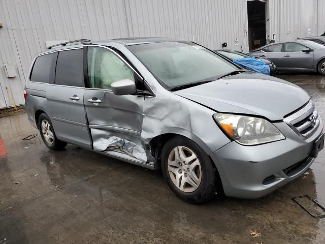 2005 Honda Odyssey EXL