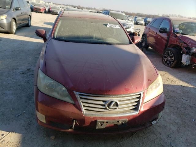 2010 Lexus ES 350