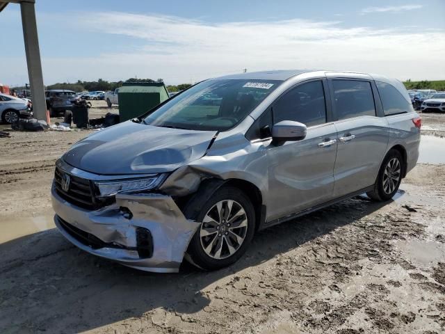 2023 Honda Odyssey EXL