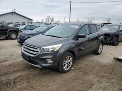 Ford Vehiculos salvage en venta: 2017 Ford Escape SE