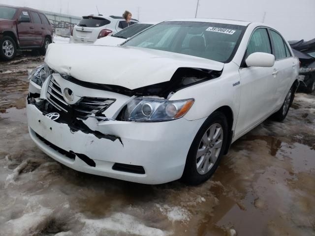 2009 Toyota Camry Hybrid