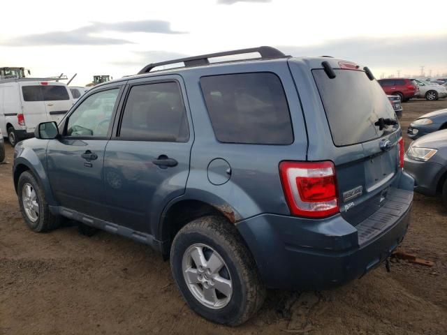 2010 Ford Escape XLT