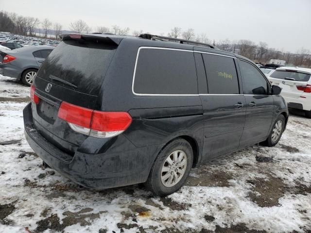 2010 Honda Odyssey EXL