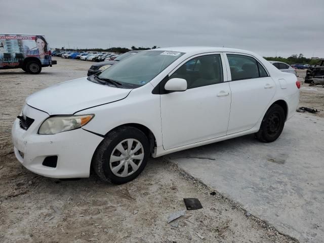 2009 Toyota Corolla Base