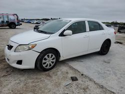 Toyota Corolla salvage cars for sale: 2009 Toyota Corolla Base