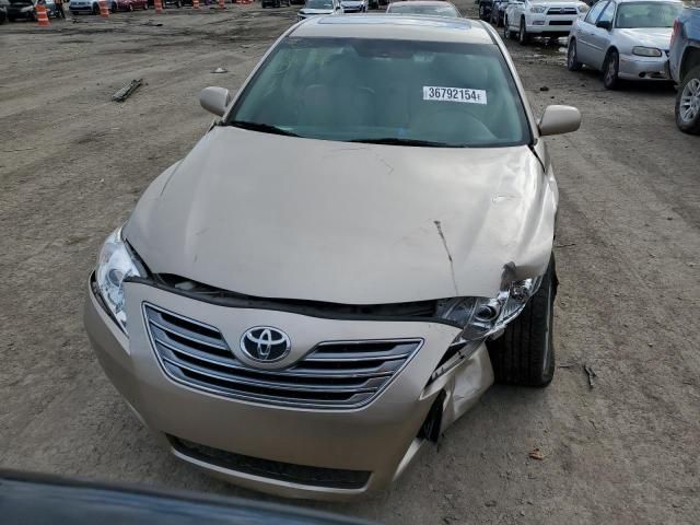 2008 Toyota Camry Hybrid