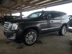 Salvage cars for sale from Copart Houston, TX: 2018 Cadillac Escalade Platinum