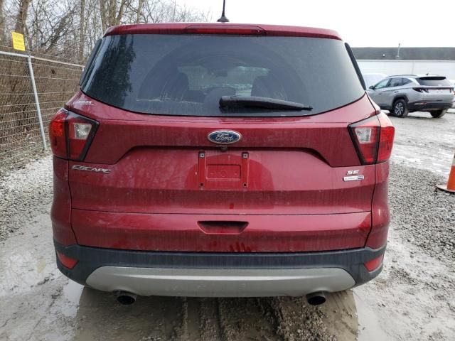 2019 Ford Escape SE