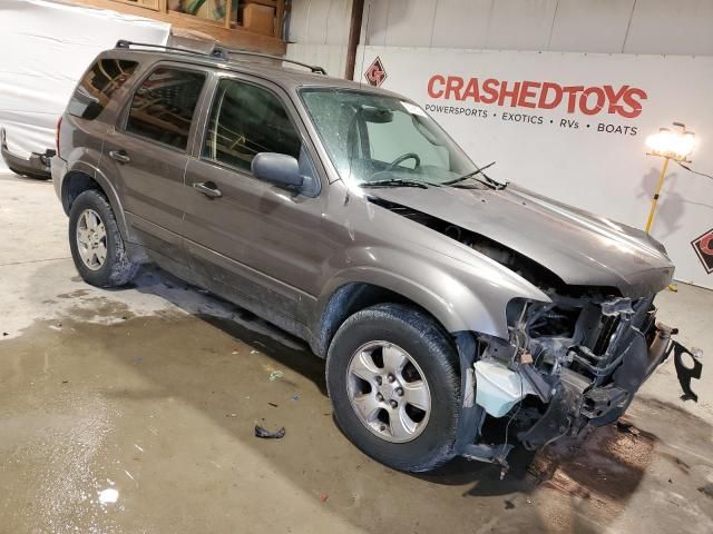 2005 Ford Escape Limited