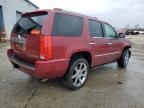 2009 Cadillac Escalade Luxury