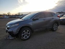 Salvage cars for sale at Hillsborough, NJ auction: 2019 Honda CR-V EX