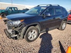 Salvage cars for sale at Phoenix, AZ auction: 2020 Toyota Rav4 XLE