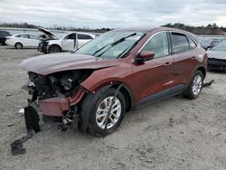 Salvage cars for sale at Fredericksburg, VA auction: 2021 Ford Escape SE