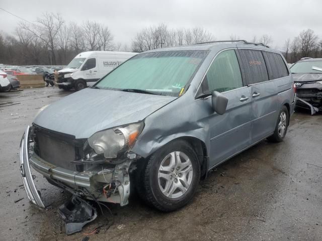 2005 Honda Odyssey EXL