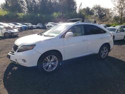 2010 Lexus RX 450 for sale in Kapolei, HI