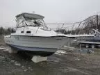 1993 Bayliner Boat