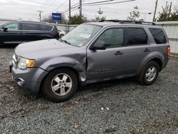 Vehiculos salvage en venta de Copart Hillsborough, NJ: 2008 Ford Escape XLT