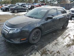 Salvage cars for sale at Brighton, CO auction: 2010 Ford Fusion SE