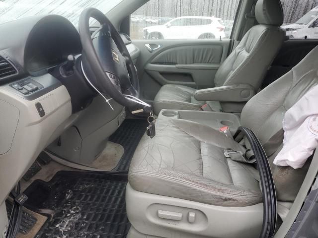 2005 Honda Odyssey EXL