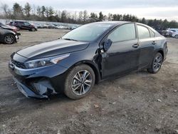 Salvage cars for sale from Copart Finksburg, MD: 2023 KIA Forte LX