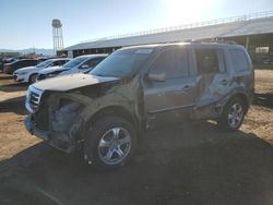 Salvage cars for sale at Phoenix, AZ auction: 2013 Honda Pilot EXL